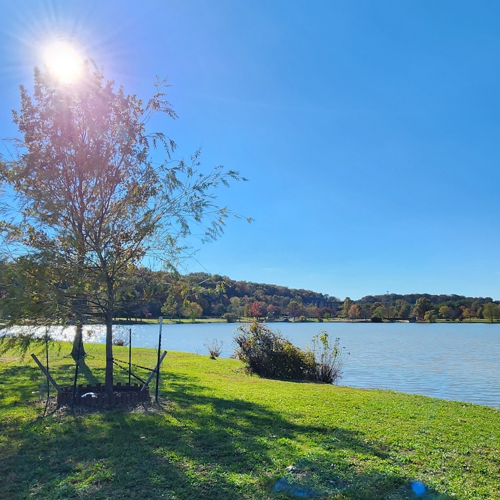 Meet your Posher, Meaghan